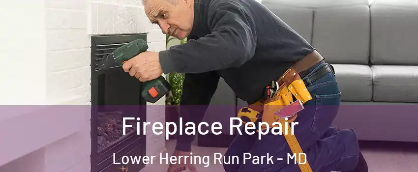 Fireplace Repair Lower Herring Run Park - MD