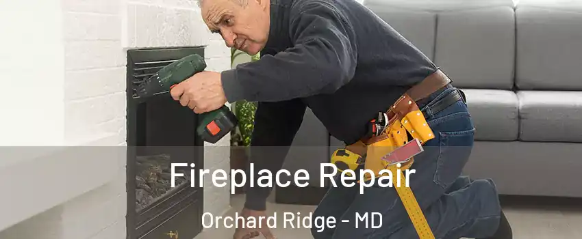 Fireplace Repair Orchard Ridge - MD