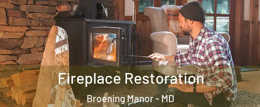 Fireplace Restoration Broening Manor - MD