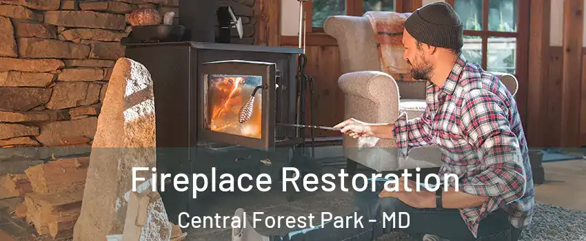 Fireplace Restoration Central Forest Park - MD