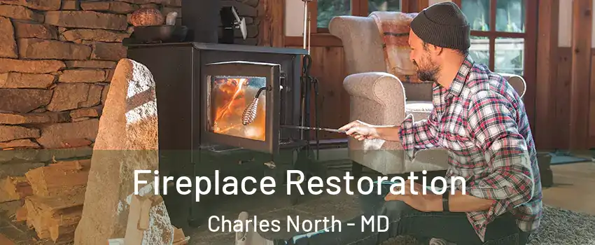 Fireplace Restoration Charles North - MD
