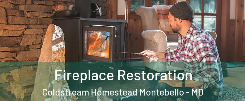 Fireplace Restoration Coldstream Homestead Montebello - MD