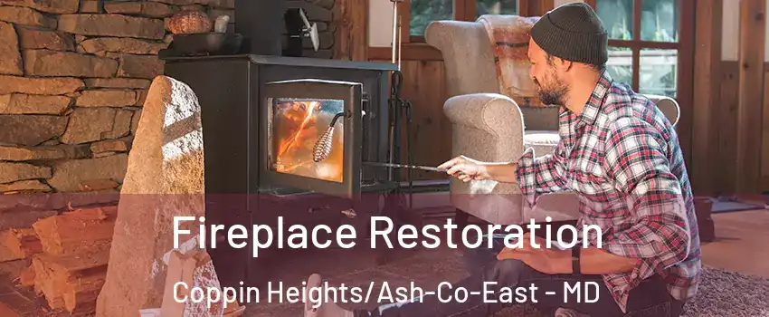 Fireplace Restoration Coppin Heights/Ash-Co-East - MD