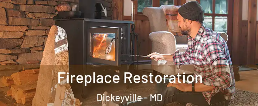 Fireplace Restoration Dickeyville - MD