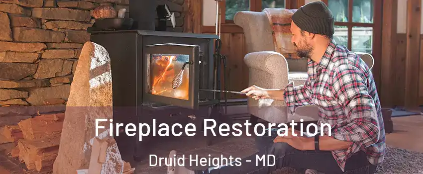 Fireplace Restoration Druid Heights - MD