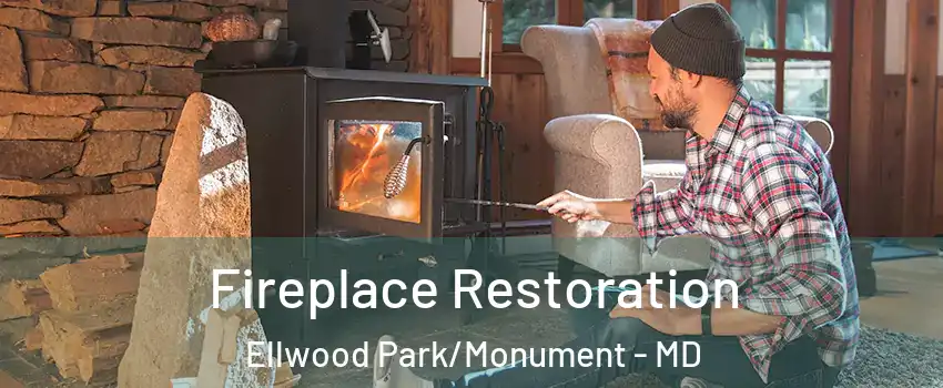 Fireplace Restoration Ellwood Park/Monument - MD