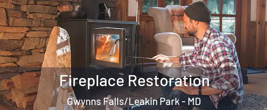 Fireplace Restoration Gwynns Falls/Leakin Park - MD