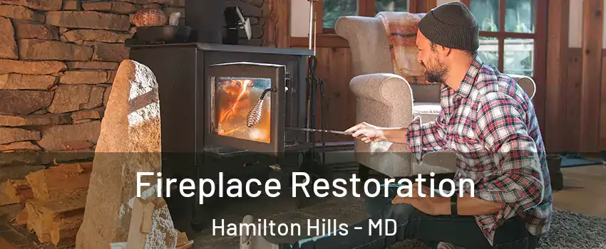 Fireplace Restoration Hamilton Hills - MD