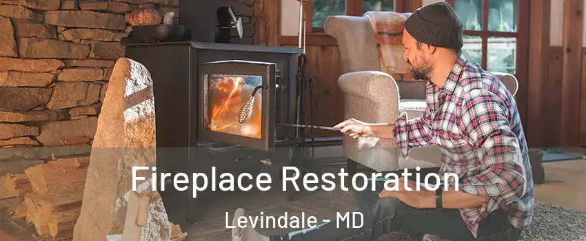 Fireplace Restoration Levindale - MD