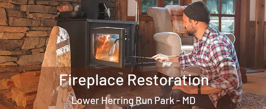 Fireplace Restoration Lower Herring Run Park - MD