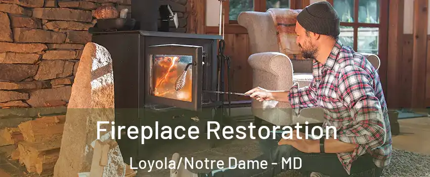 Fireplace Restoration Loyola/Notre Dame - MD