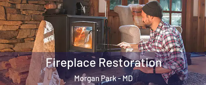 Fireplace Restoration Morgan Park - MD