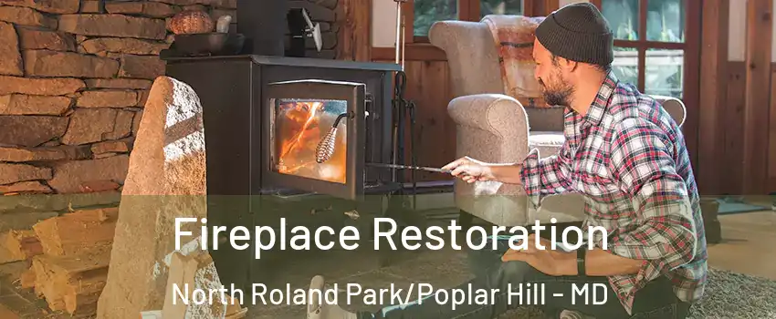 Fireplace Restoration North Roland Park/Poplar Hill - MD
