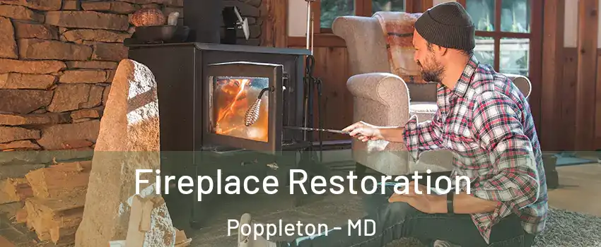 Fireplace Restoration Poppleton - MD