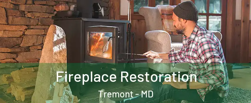 Fireplace Restoration Tremont - MD