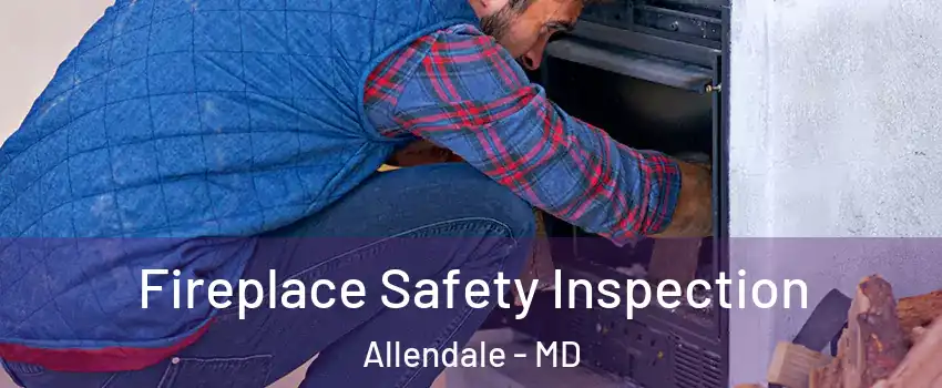 Fireplace Safety Inspection Allendale - MD