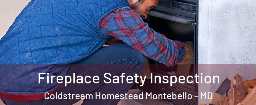 Fireplace Safety Inspection Coldstream Homestead Montebello - MD