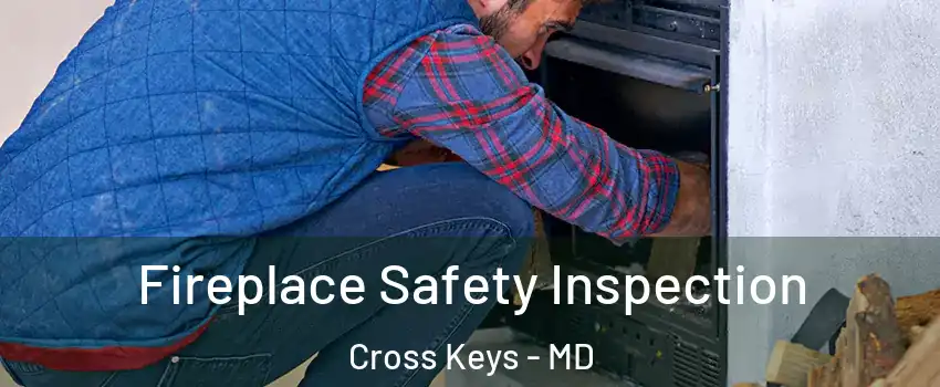 Fireplace Safety Inspection Cross Keys - MD