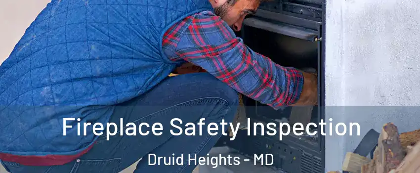 Fireplace Safety Inspection Druid Heights - MD