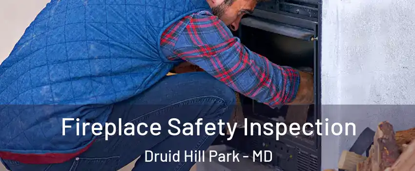 Fireplace Safety Inspection Druid Hill Park - MD