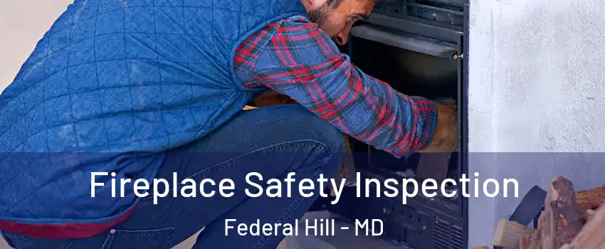 Fireplace Safety Inspection Federal Hill - MD