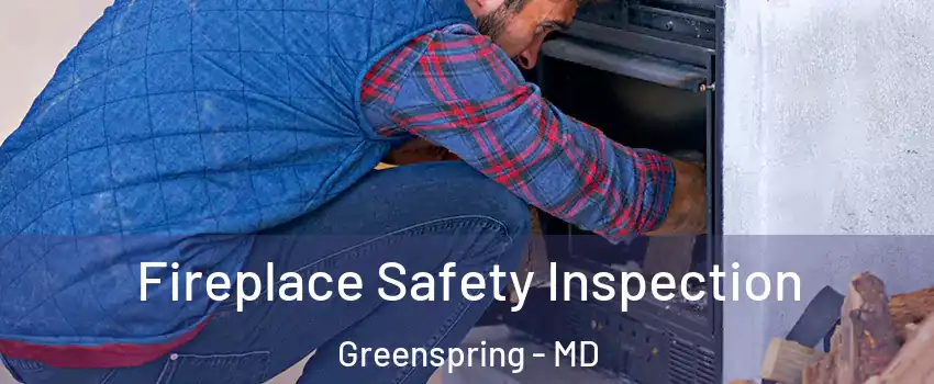 Fireplace Safety Inspection Greenspring - MD