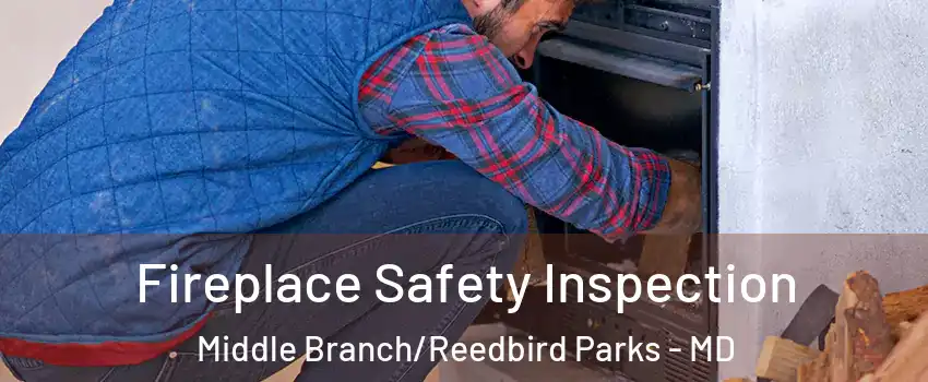 Fireplace Safety Inspection Middle Branch/Reedbird Parks - MD