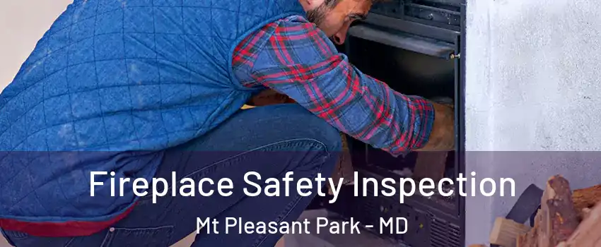 Fireplace Safety Inspection Mt Pleasant Park - MD