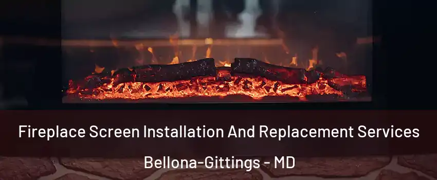 Fireplace Screen Installation And Replacement Services Bellona-Gittings - MD