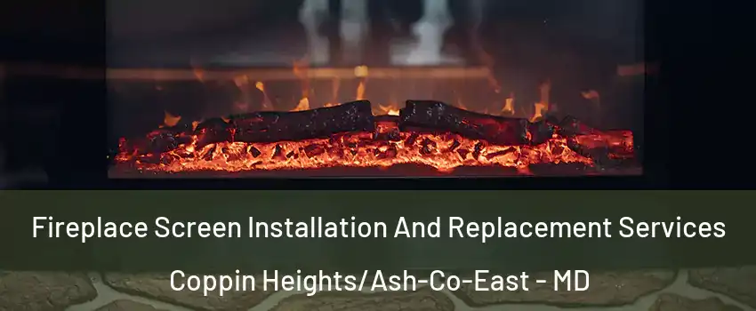 Fireplace Screen Installation And Replacement Services Coppin Heights/Ash-Co-East - MD