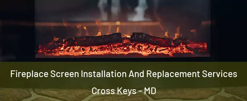 Fireplace Screen Installation And Replacement Services Cross Keys - MD