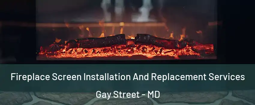 Fireplace Screen Installation And Replacement Services Gay Street - MD