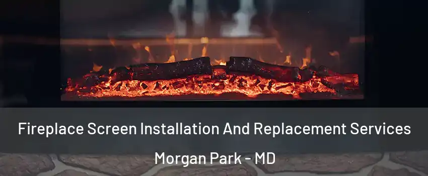 Fireplace Screen Installation And Replacement Services Morgan Park - MD