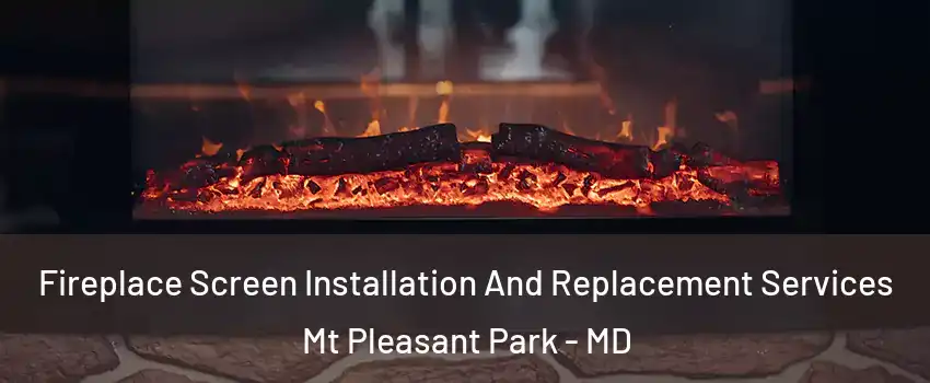 Fireplace Screen Installation And Replacement Services Mt Pleasant Park - MD