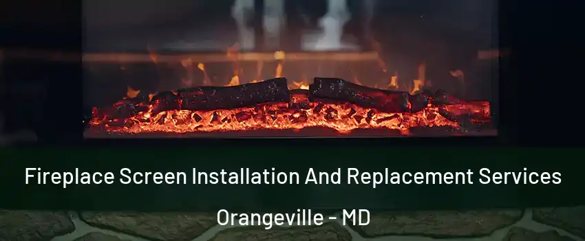 Fireplace Screen Installation And Replacement Services Orangeville - MD