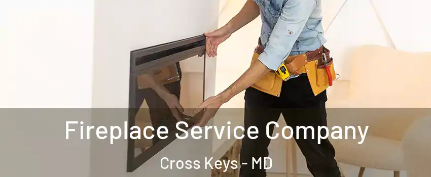 Fireplace Service Company Cross Keys - MD