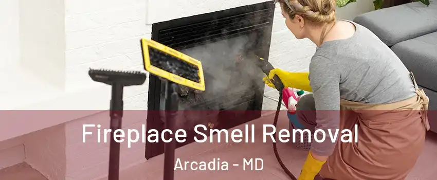 Fireplace Smell Removal Arcadia - MD