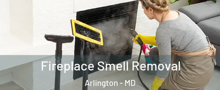 Fireplace Smell Removal Arlington - MD