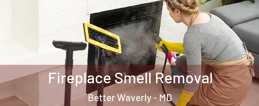 Fireplace Smell Removal Better Waverly - MD