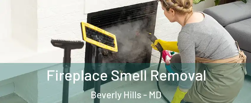 Fireplace Smell Removal Beverly Hills - MD