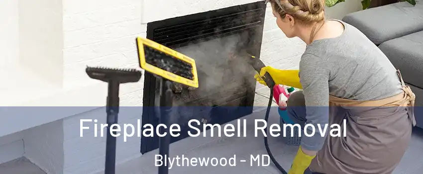 Fireplace Smell Removal Blythewood - MD