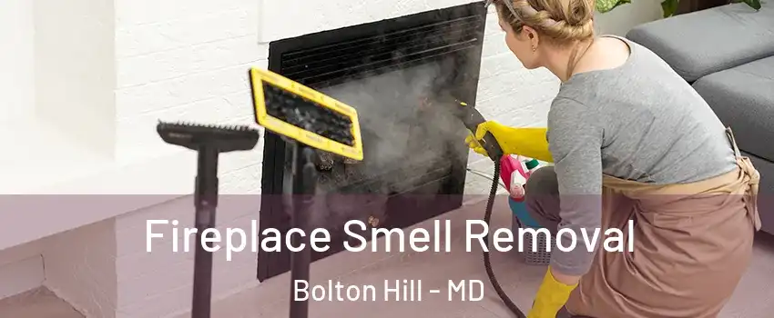 Fireplace Smell Removal Bolton Hill - MD