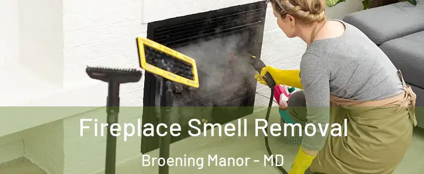 Fireplace Smell Removal Broening Manor - MD