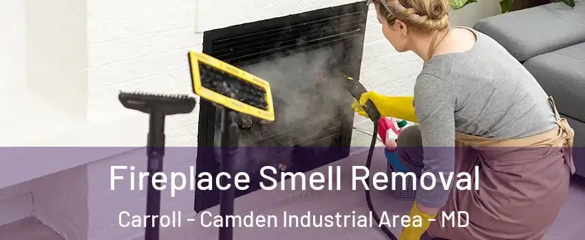 Fireplace Smell Removal Carroll - Camden Industrial Area - MD