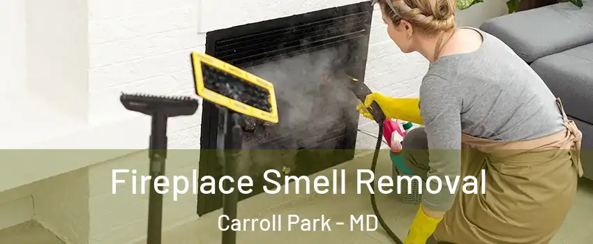 Fireplace Smell Removal Carroll Park - MD