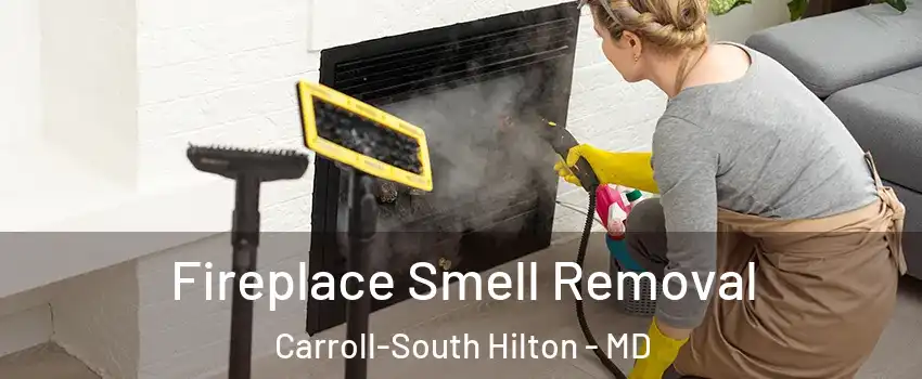 Fireplace Smell Removal Carroll-South Hilton - MD