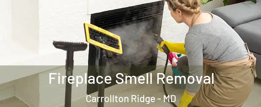 Fireplace Smell Removal Carrollton Ridge - MD