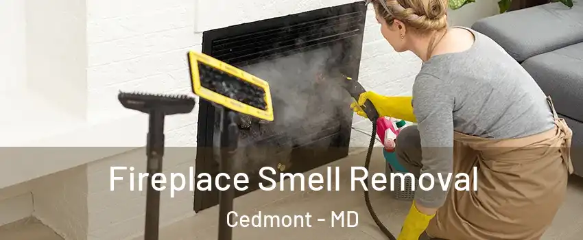 Fireplace Smell Removal Cedmont - MD