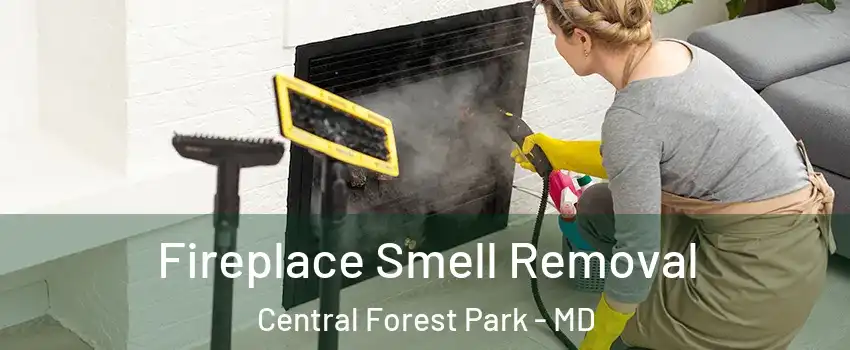 Fireplace Smell Removal Central Forest Park - MD