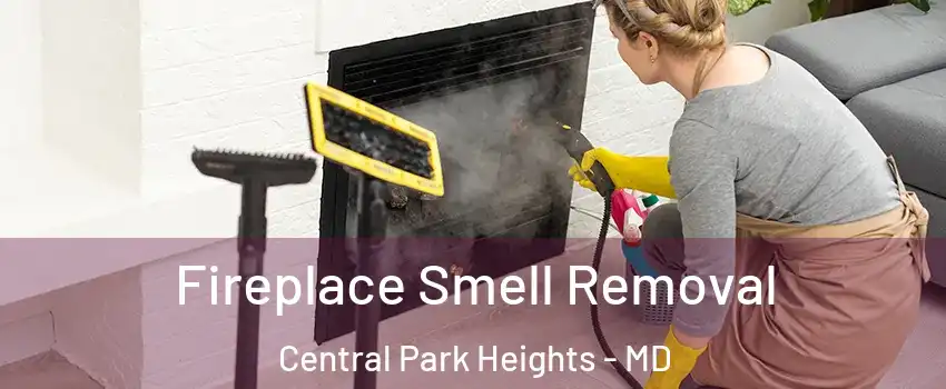 Fireplace Smell Removal Central Park Heights - MD